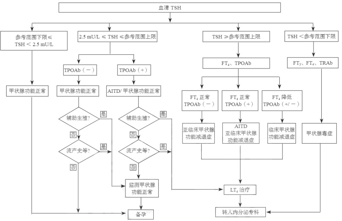 孕前血清TSH篩查、診斷和管理流程