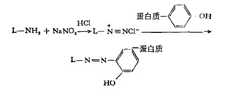 重氮鹽偶聯(lián)法