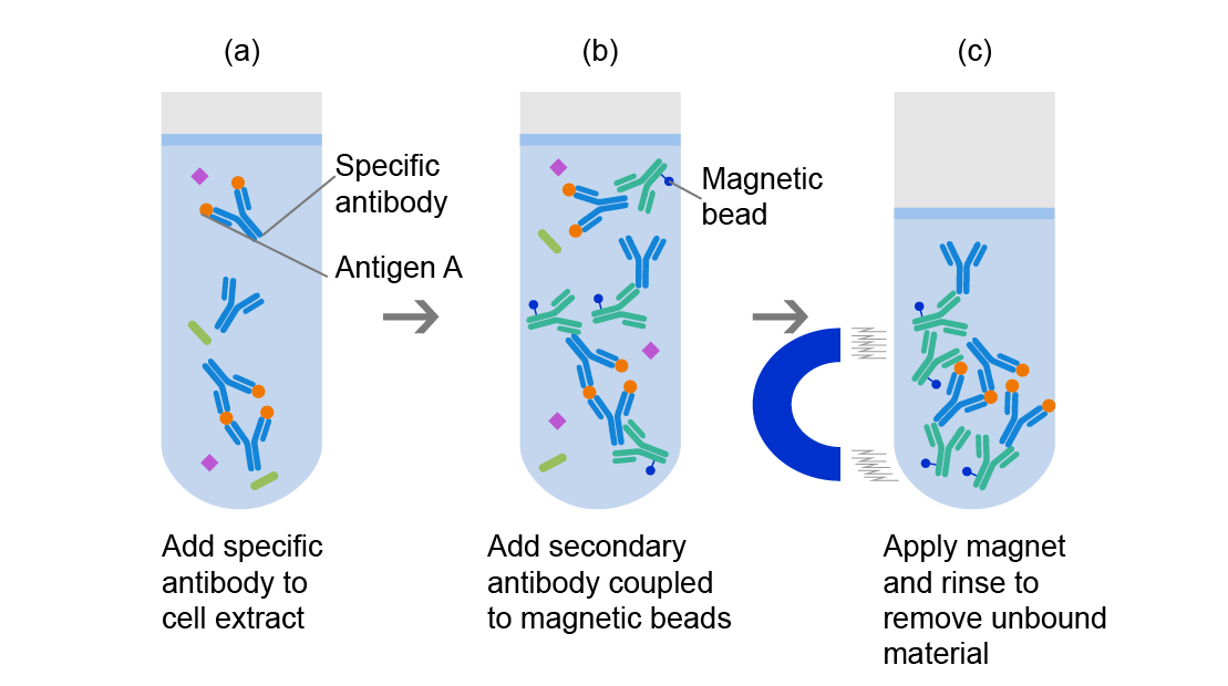 磁珠作用原理 磁珠作用原理