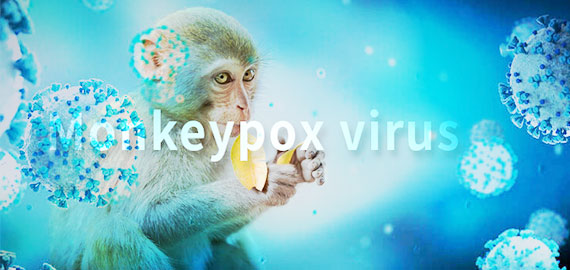 SingleB猴痘項目大顯身手，近100株抗體火速上新！