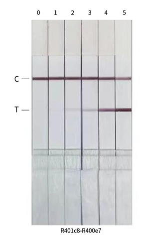 Colloidal gold detection results for Monkeypox virus B6R antibody