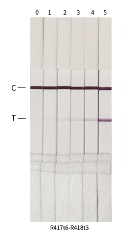 Colloidal gold detection results for Monkeypox virus M1R antibody