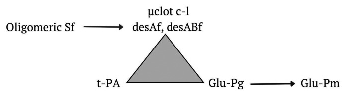 FXIIIa聚合纖維蛋白非交聯(lián)和交聯(lián)纖維蛋白凝塊的形成及降解